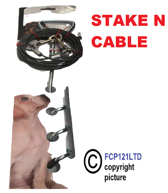 dog stake for camping