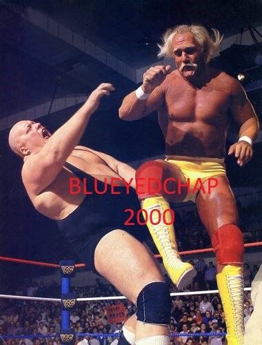 HULK HOGAN VS KING KONG BUNDY WRESTLER 8 X10 WRESTLING PHOTO WWF