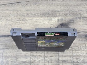 Teenage Mutant Ninja Turtles (NES 1989)