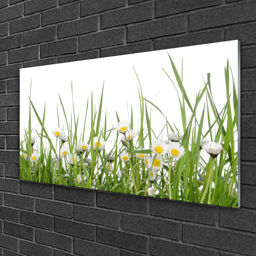 Tableau Marguerite et Herbe Impression sur Verre Tulup 100x50 cm pour Déco Murale