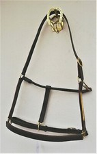 LEATHER HEADCOLLARS WITH  BRASS NAME PLATE AND FITTINGS. P.C.F.X-F  BLACK/BROWN