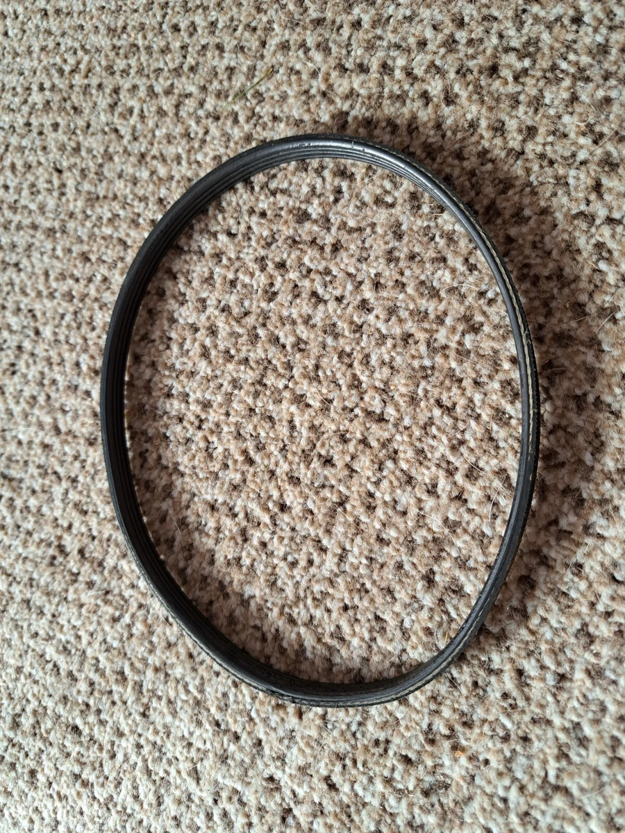 Flymo Easi Glide 330 VX Lawnmower Drive Belt eBay
