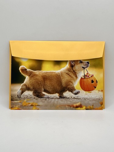 Halloween Karte, süße Corgi Halloween Süßigkeiten, lustige Hund Avanti Grußkarte NEU - Bild 8 von 8