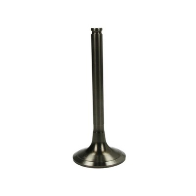   PARADOWSCY INTAKE VALVE PMER026 NEU DE STOCK