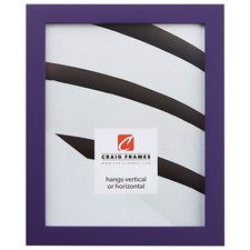 Craig Frames Confetti Modern Purple 16x20 Picture Frame