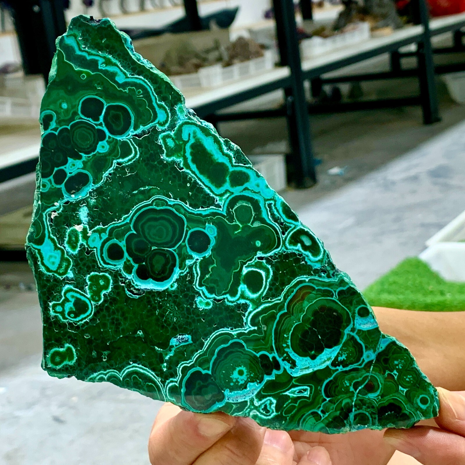 414G Natural chrysocolla/Malachite transparent cluster rough mineral sample