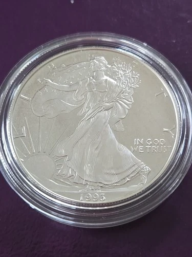 1993-P American Silver Eagle PROOF 1 Oz Silver - Coin & Box & COA .999 US Silver