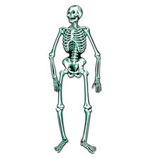 Jointed Skeleton Party Decor Accessory Prop Figurine Toy Skeleton Party