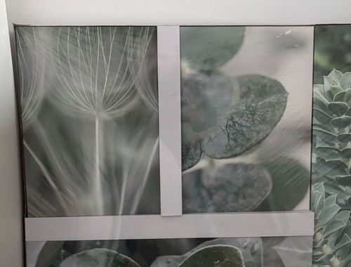 4 Bilder mit Natur Motiv Tolle Grüntöne - Bild 9 von 13