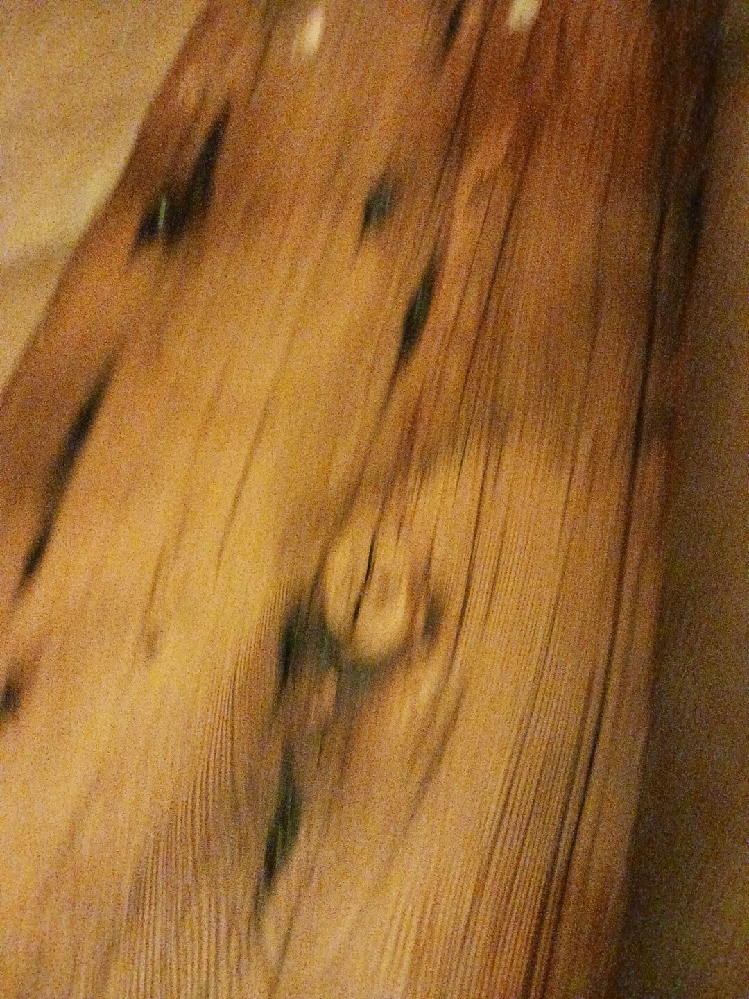 Picture 17 of 19