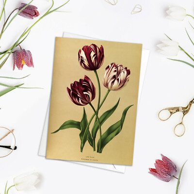 Vintage Grußkarte Botanische Kunst Viktorianische Blumen Illustration Tulpen - T01