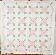 WELL QUILTED Vintage 20's Rose of Sharon Applique Antique Quilt Swag Border