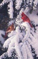 Marc Hanson Late Snow Cardinals - Song Birds
