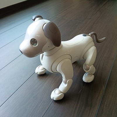 Sony aibo ERS-1000 AI Companion Dog Ivory White Charging Station Pink Ball JP