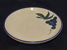 Garlic Grater Plate Clayton Tableware France Made In Malaysia 5.25"