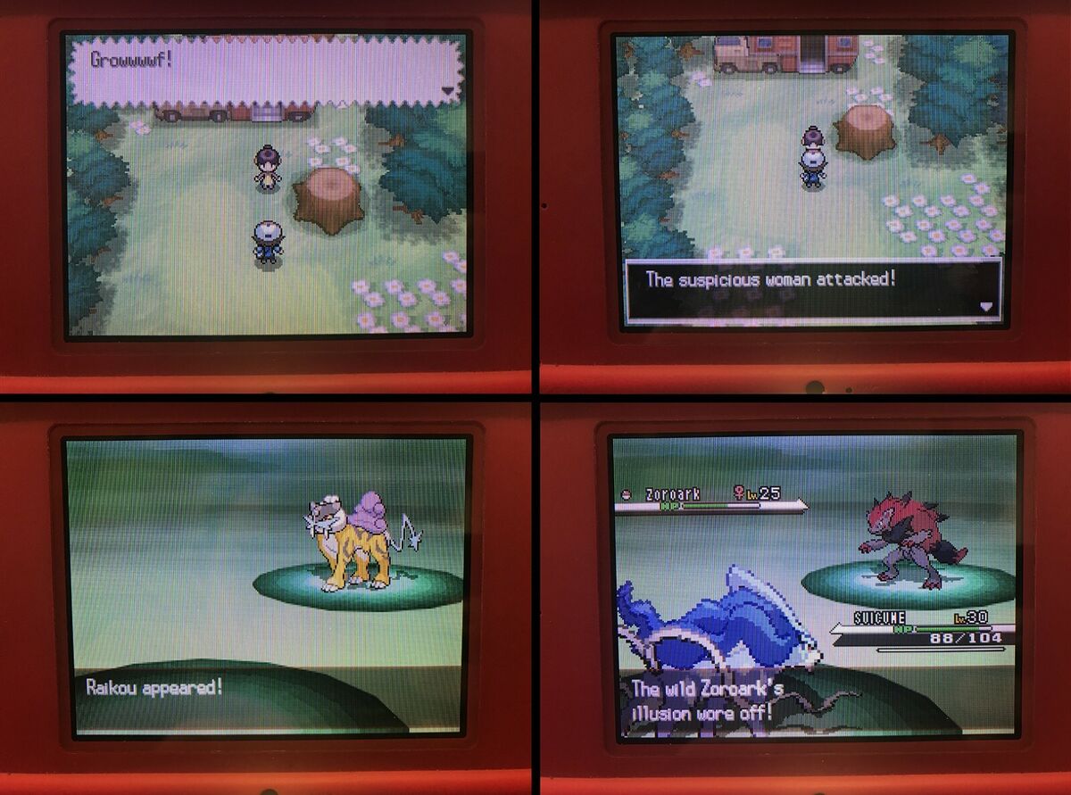 Shiny 6IV Raikou Entei and Suicune Legendary Beasts Pokemon -  Denmark