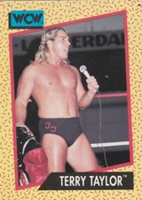 FREE SHIPPING-MINT-TERRY TAYLOR  1991 Impel WCW #73                      