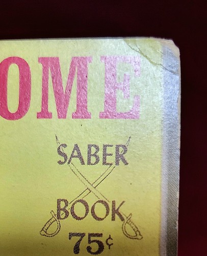 Vintage 1965 LONG WAY HOME Sleaze Paperback Saber Book FIRST EDITION GGA - Picture 6 of 7