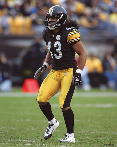 FOTO TROY POLAMALU 2005 PITTSBURGH STEELERS 8X10 - Foto 1 di 1