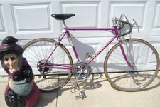 schwinn transit