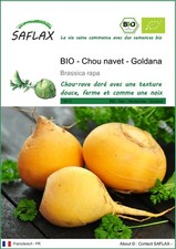 SAFLAX - Graines - BIO - Chou navet - Goldana - 500 Graines