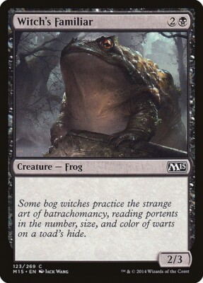 MTG - COMMON REGULAR -M15: NM- WITCH'S FAMILIAR 123/269