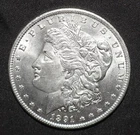 1891 Morgan Dollar BU (R165)