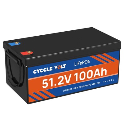 LiFePO4 48V 100Ah Lithium Battery Deep Cycle BMS for Golf Cart Solar RV Off Grid