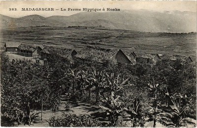 CPA La Ferme Hippique a Hoaka MADAGASKAR (1044650)
