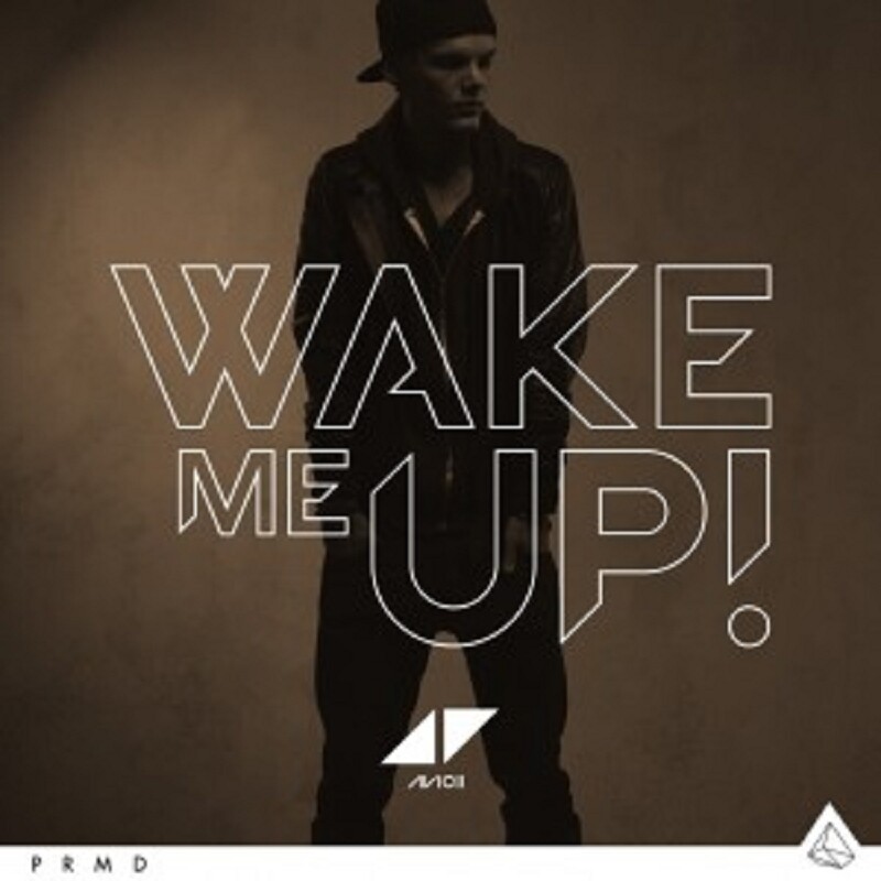AVICII - WAKE ME UP 2-TRACK CD SINGLE INTERNATIONAL POP NEU