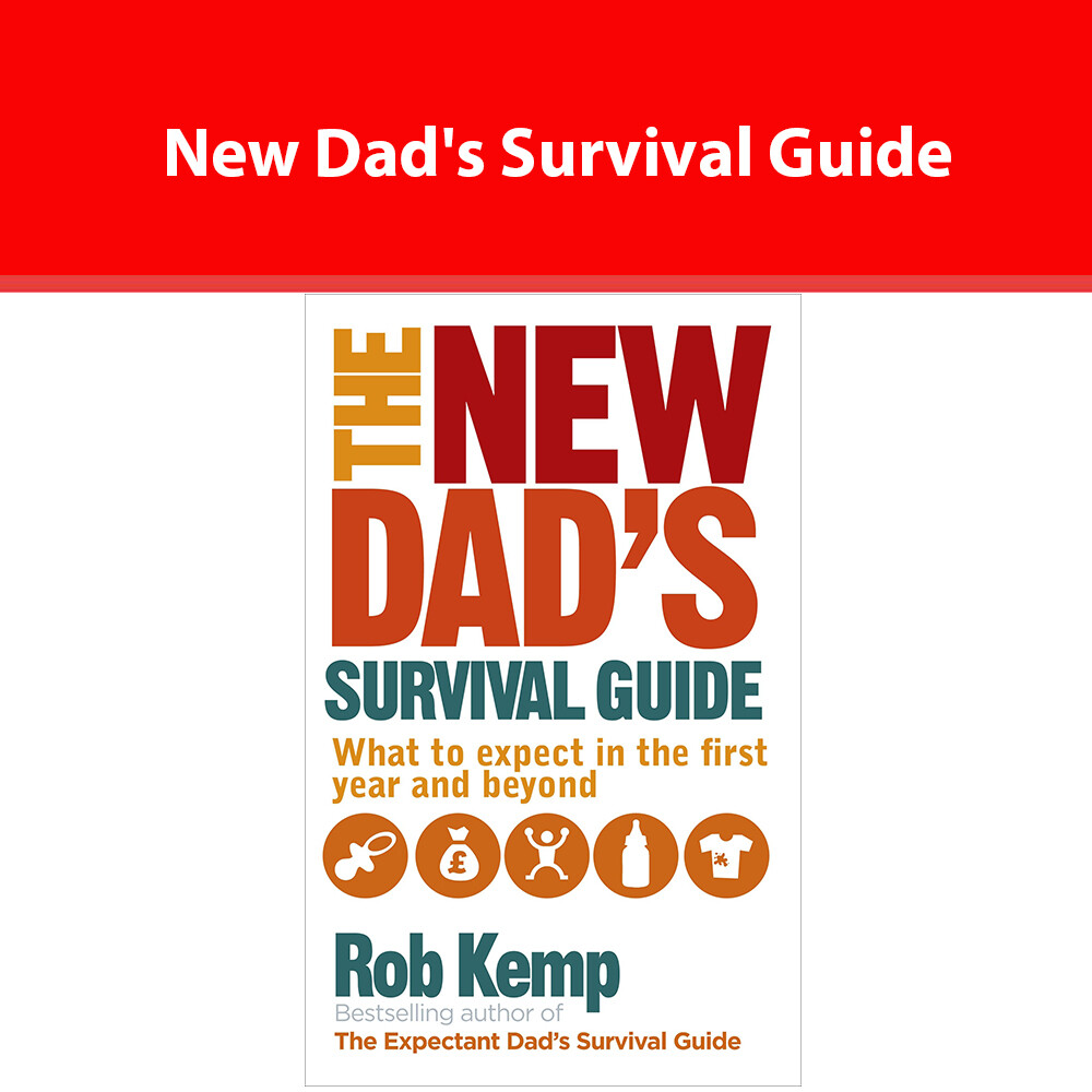 The New Dad's Survival Guide What to Expect in the First Year by Rob Kemp PB NEW
