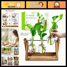 Plant Propagation Station with Wooden Stand  3 Glass Bulb Vases - Indoor Plant