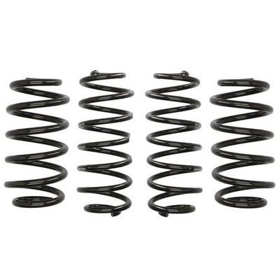 SUSPENSION SPRINGS SET B007G88MPO EIBACH E10-15-011-01-22 NEU