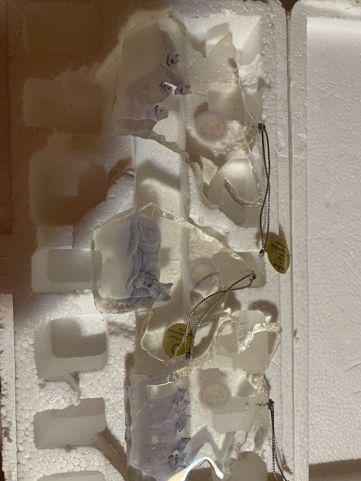 Picture 6 of 6