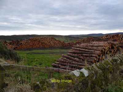 Foto 6x4 Holz von angrenzender Klarsichtfällung Rugley transportfertig um 2021