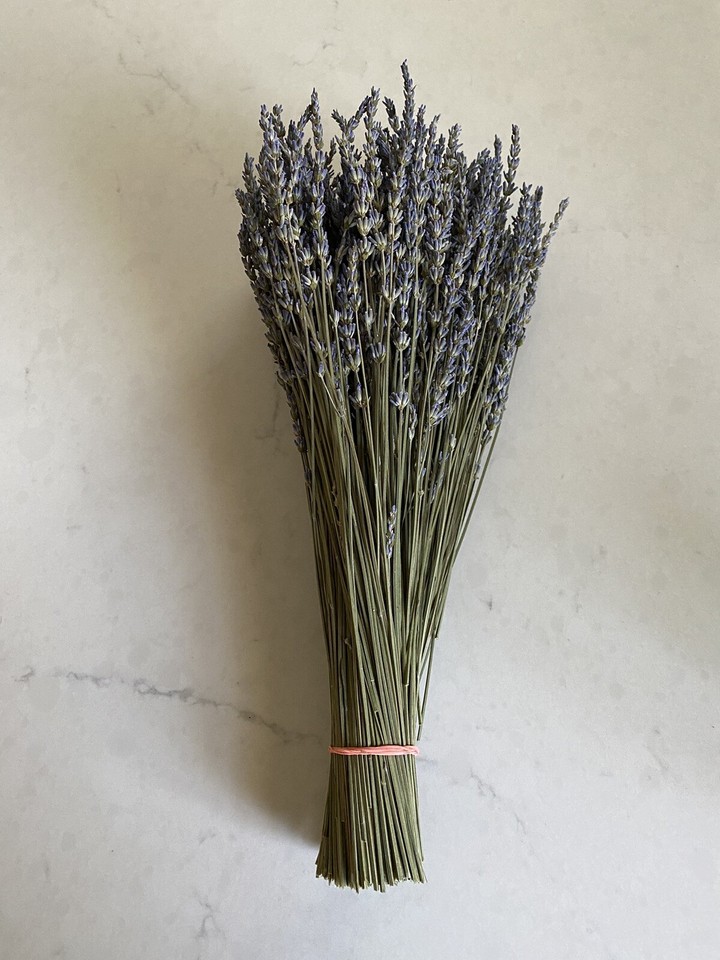 Dried LAVENDER Bunch BOUQUET Bundle FRAGRANT 250+ Stems USA Dried