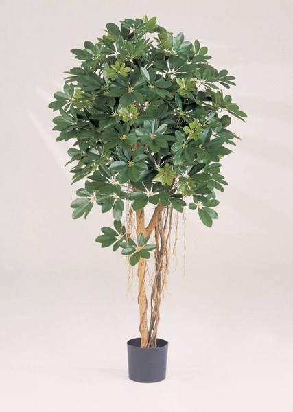 Artplants KüNstliche Schefflera Naturell, Getopft, GrüN, Lianen, 140Cm-image