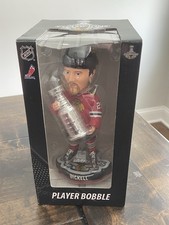 Bryan Bickell Chicago Blackhawks 2013 Stanley Cup Bobbleheads LE #234/2013