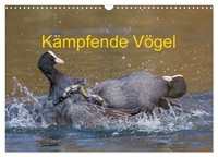 "Calendar 2027 · US Version · Fighting Birds (Wall Calendar 2027 17\" × 12\" Landsc"