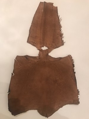 Real Leather Light Brown Genuine Lizard Belly 21  Hide Pelt Long -Fast Shipping