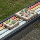 Bild 6 von 7