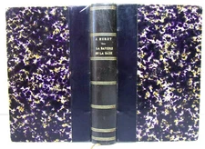 Travel Germany. Jules Huret. Bavaria and Saxony.