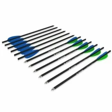 12Pcs 20" Archery Carbon Arrows OD 8.8mm Plastic Feather For Outdoor Bow Hunting