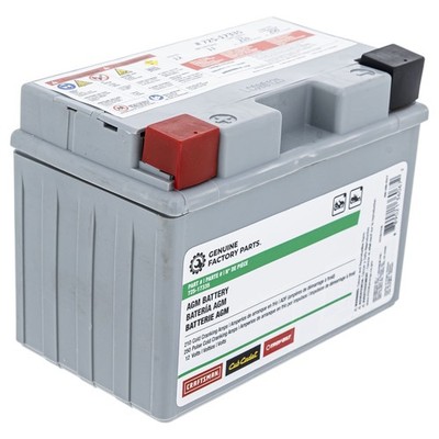 MTD 490-280-F017 12-Volt AGM Battery 210 CCA Troy-Bilt Craftsman Yard Machines