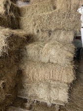Conventional Square Bale Of Meadow Hay Harvested July 2025. Organic.  No Ragwort