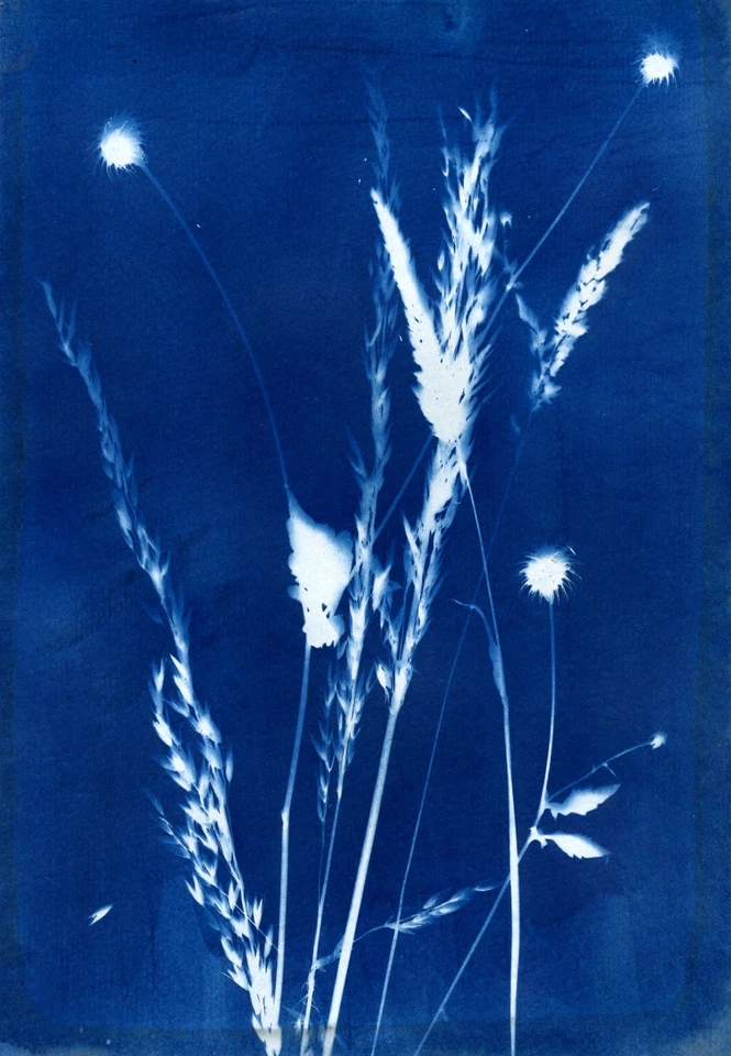 CYANOTYPE READY TO GO  2 X 100ML SOLUTIONS SUN PRINTING BLUEPRINT - Image 3 of 4