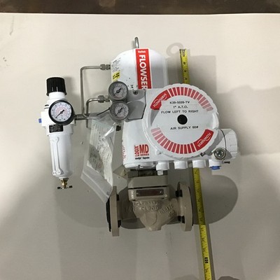 Flowserve K39-5028-TV - MK1 Globe Control Valve w/Pneumatic Actuator & Digita...