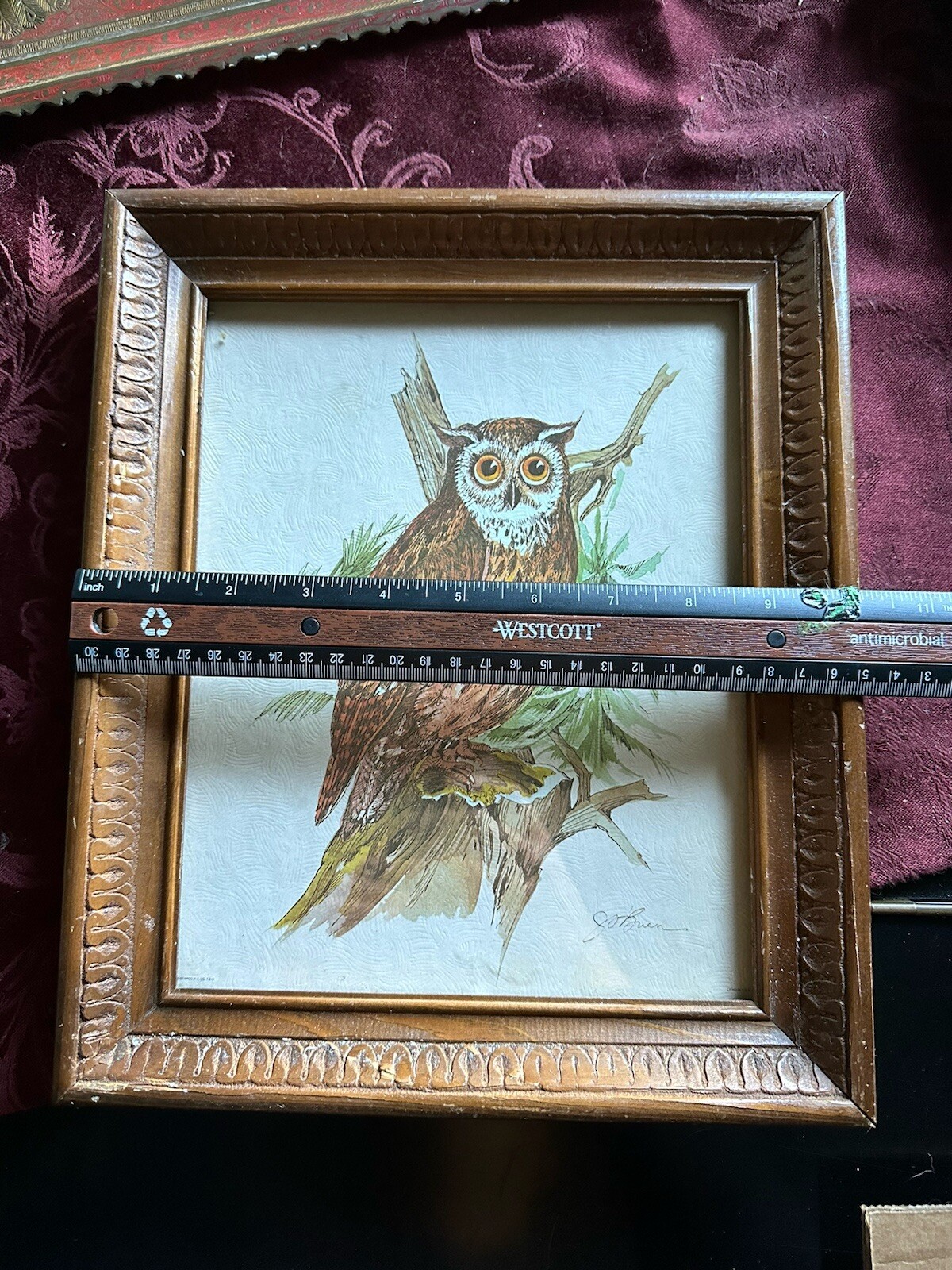 Picture 6 of 6