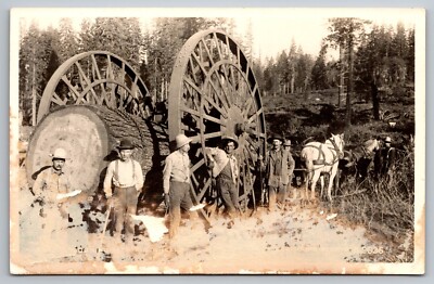 Logging with Big Wheels Eastmans studio B 2036 RPPC c1910s