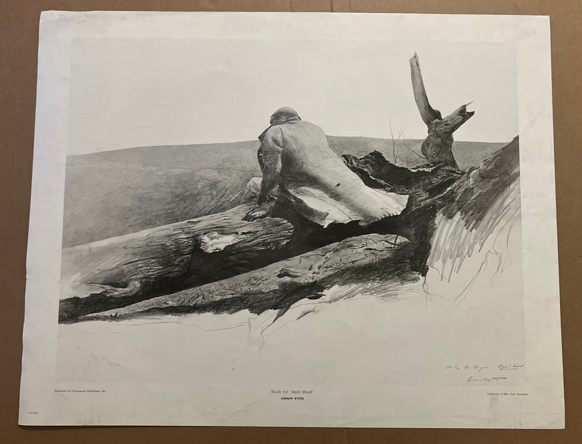 アート・デザイン・音楽 ANDREW WYETH Andrew Wyeth Last Light Custom Framed Print | eBay